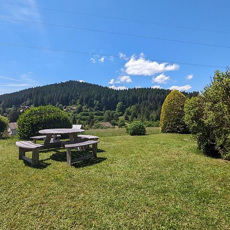 Gite A Gerardmer - Proche Lac Et Pistes, Chem Cheminee, 2 Chambres - Fr-1-589-108 Exteriör bild