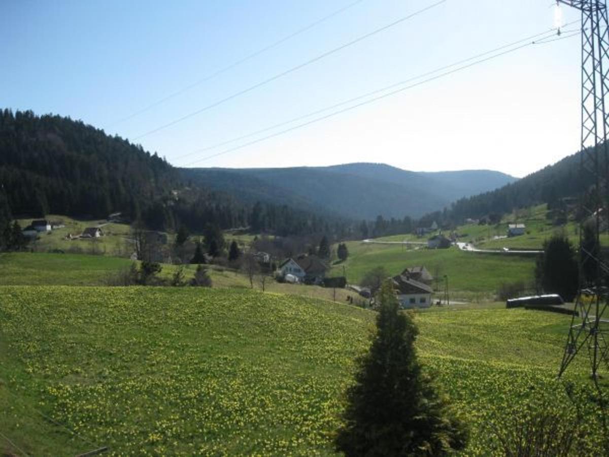 Gite A Gerardmer - Proche Lac Et Pistes, Chem Cheminee, 2 Chambres - Fr-1-589-108 Exteriör bild