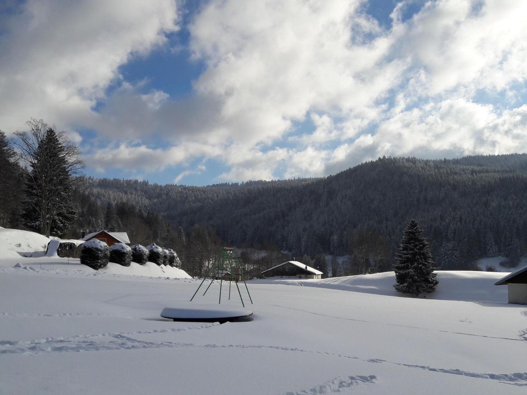 Gite A Gerardmer - Proche Lac Et Pistes, Chem Cheminee, 2 Chambres - Fr-1-589-108 Exteriör bild