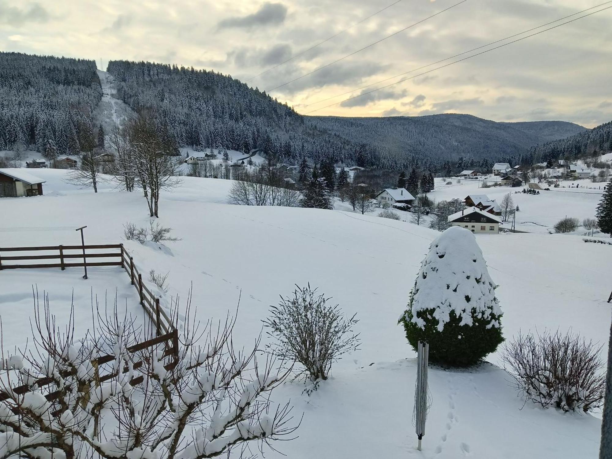 Gite A Gerardmer - Proche Lac Et Pistes, Chem Cheminee, 2 Chambres - Fr-1-589-108 Exteriör bild