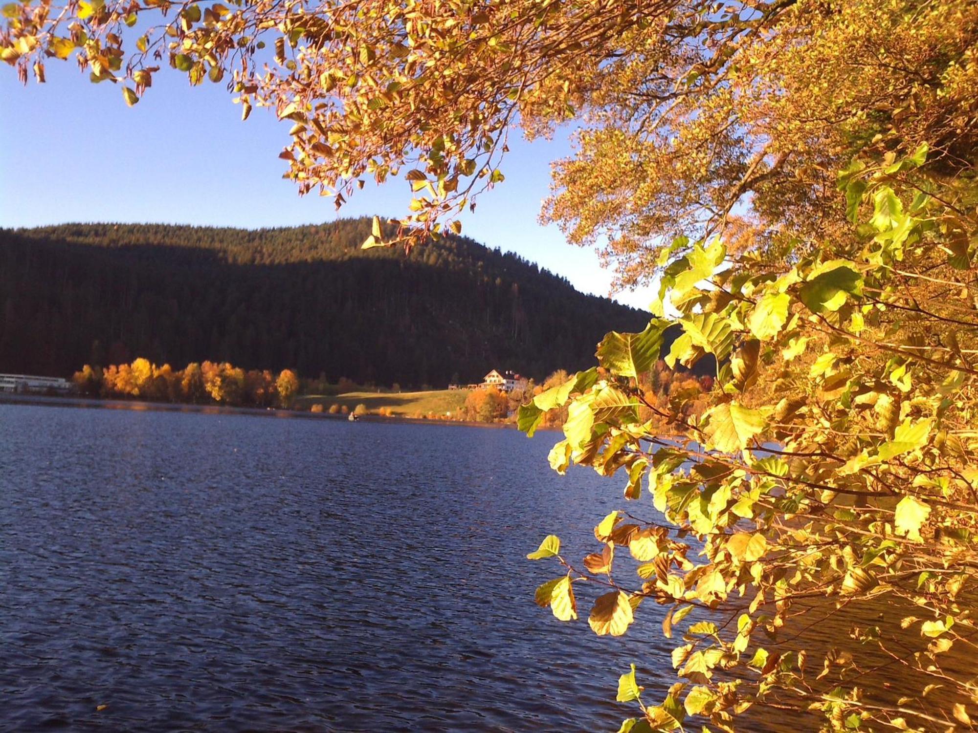 Gite A Gerardmer - Proche Lac Et Pistes, Chem Cheminee, 2 Chambres - Fr-1-589-108 Exteriör bild